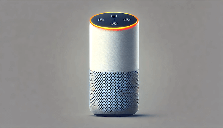 Ensuring Privacy in Your Smart Home: Securing Voice Assistants